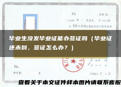 毕业生没发毕业证能办签证吗（毕业证还未到，签证怎么办？）