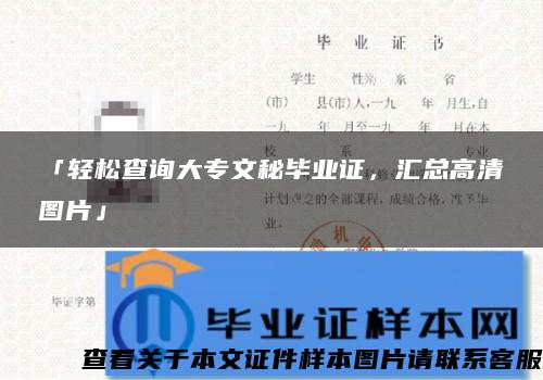 「轻松查询大专文秘毕业证，汇总高清图片」