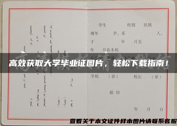 高效获取大学毕业证图片，轻松下载指南！