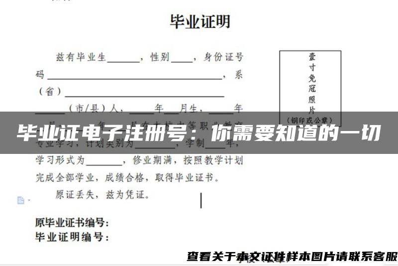 毕业证电子注册号：你需要知道的一切