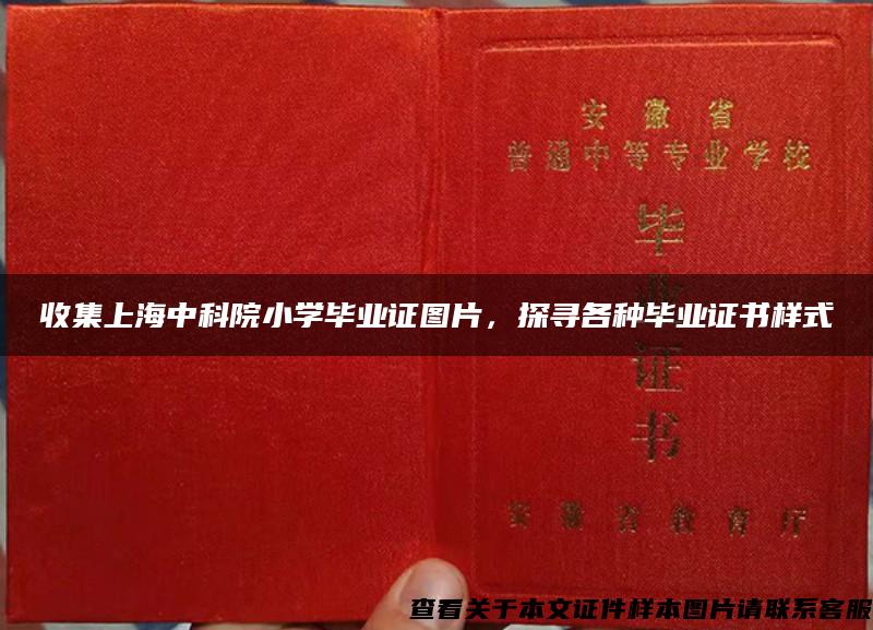 收集上海中科院小学毕业证图片，探寻各种毕业证书样式