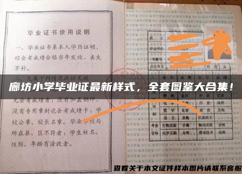 廊坊小学毕业证最新样式，全套图鉴大合集！