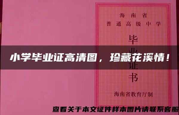 小学毕业证高清图，珍藏花溪情！