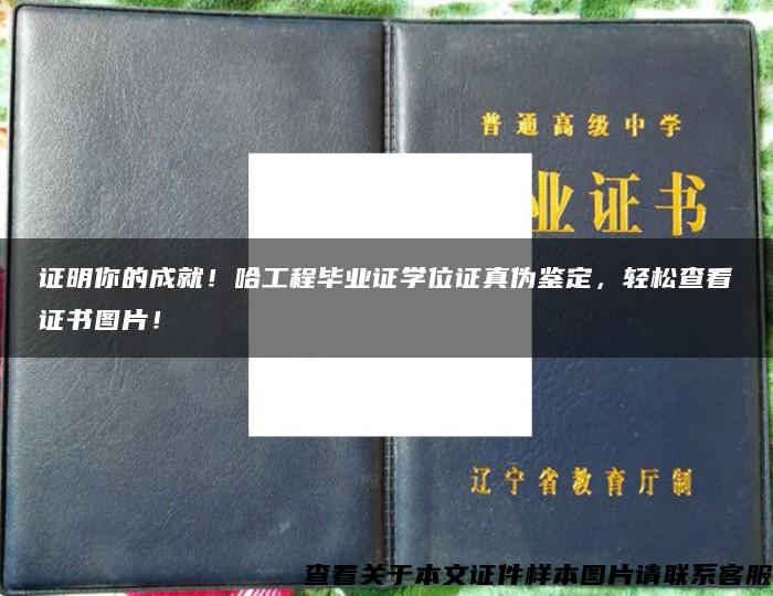 证明你的成就！哈工程毕业证学位证真伪鉴定，轻松查看证书图片！