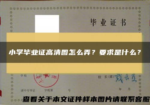 小学毕业证高清图怎么弄？要求是什么？