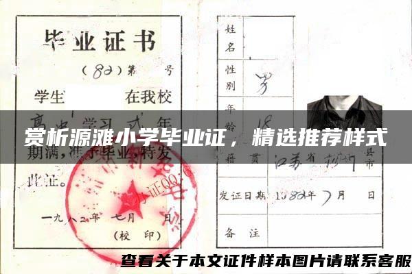 赏析源滩小学毕业证，精选推荐样式