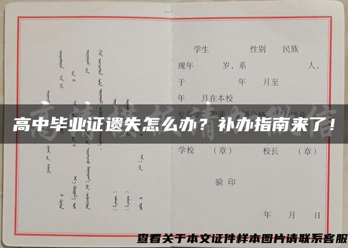 高中毕业证遗失怎么办？补办指南来了！