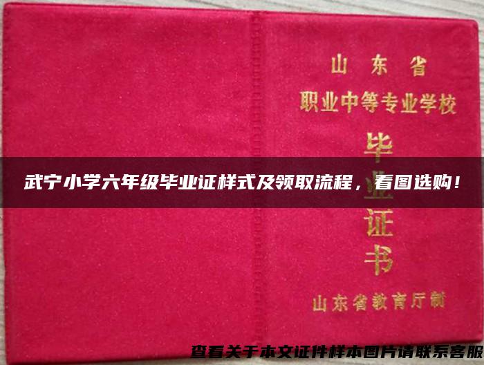 武宁小学六年级毕业证样式及领取流程，看图选购！