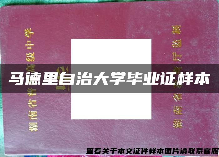 马德里自治大学毕业证样本