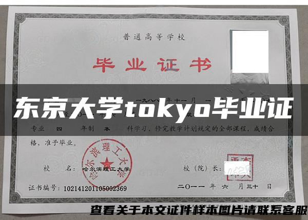 东京大学tokyo毕业证