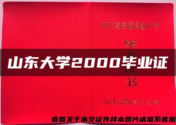 山东大学2000毕业证