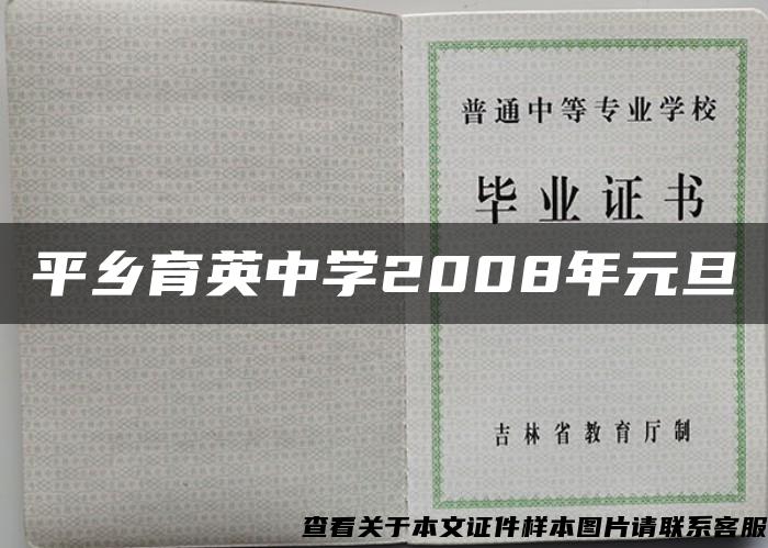 平乡育英中学2008年元旦