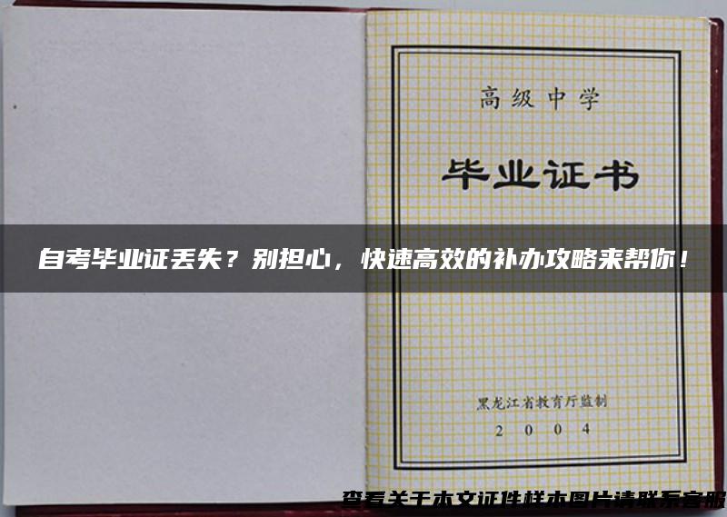 自考毕业证丢失？别担心，快速高效的补办攻略来帮你！