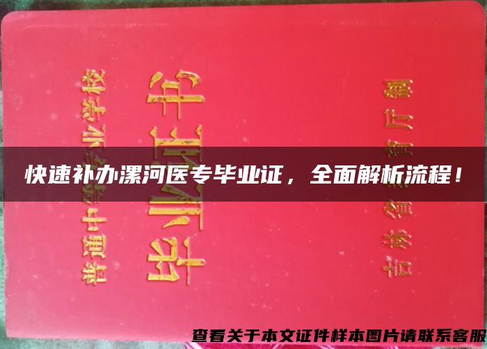 快速补办漯河医专毕业证，全面解析流程！