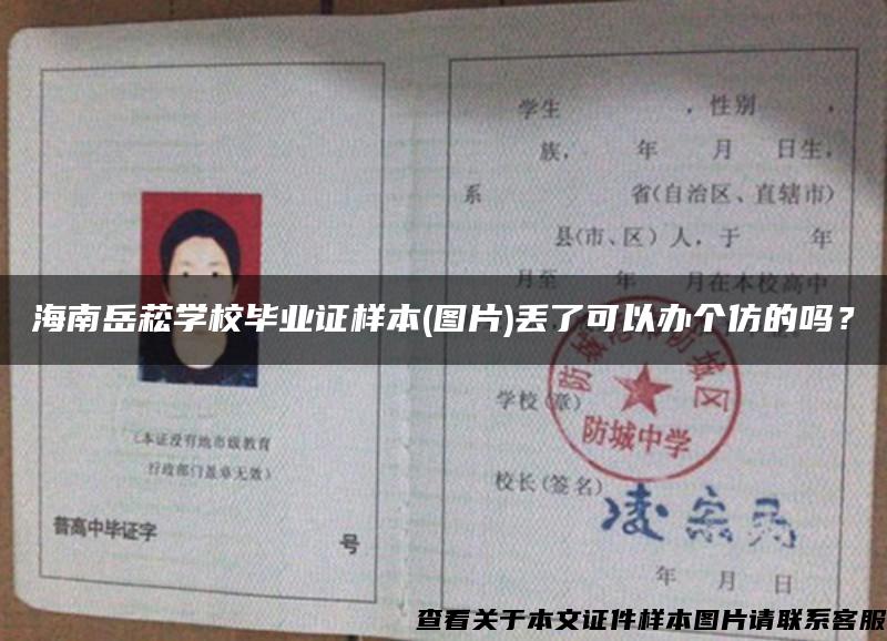 海南岳菘学校毕业证样本(图片)丢了可以办个仿的吗？