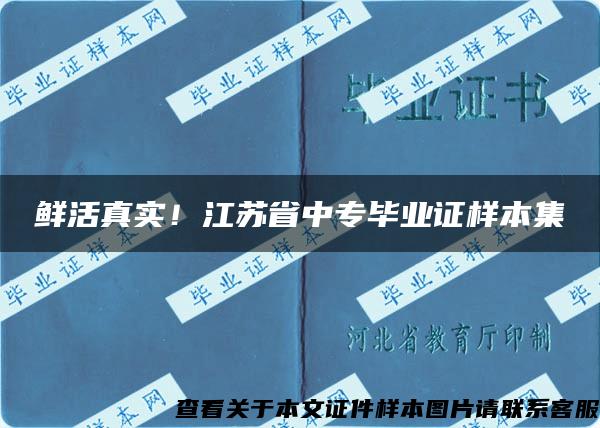 鲜活真实！江苏省中专毕业证样本集