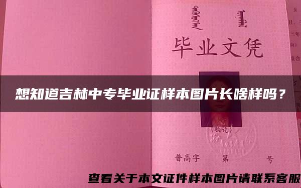 想知道吉林中专毕业证样本图片长啥样吗？