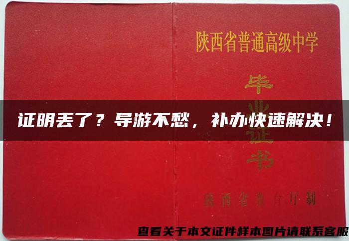 证明丢了？导游不愁，补办快速解决！