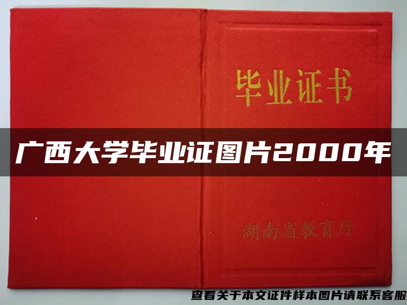 广西大学毕业证图片2000年