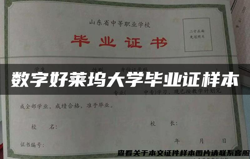 数字好莱坞大学毕业证样本