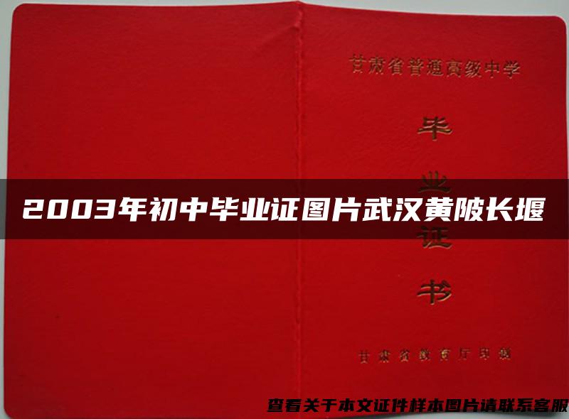 2003年初中毕业证图片武汉黄陂长堰