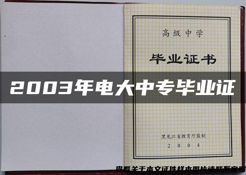 2003年电大中专毕业证