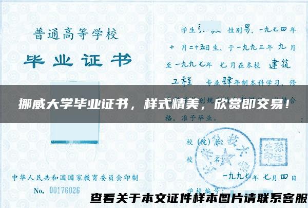 挪威大学毕业证书，样式精美，欣赏即交易！