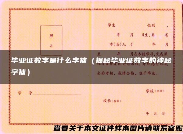 毕业证数字是什么字体（揭秘毕业证数字的神秘字体）