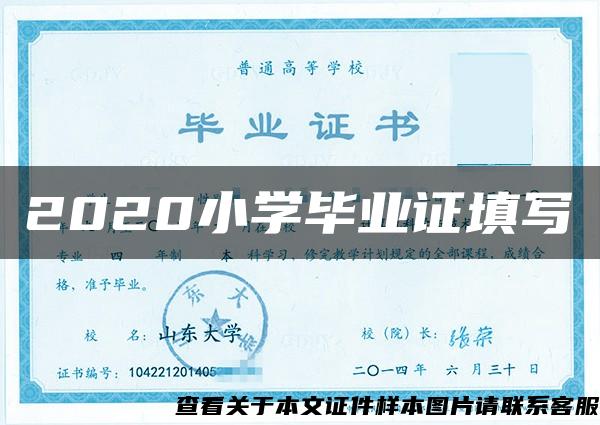 2020小学毕业证填写