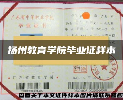 扬州教育学院毕业证样本