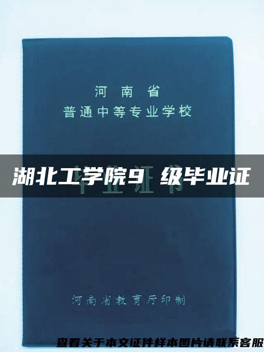 湖北工学院9 级毕业证