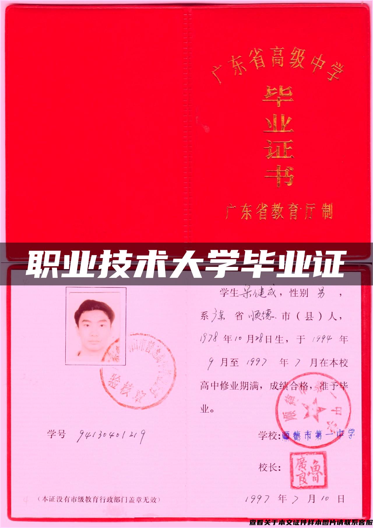 职业技术大学毕业证