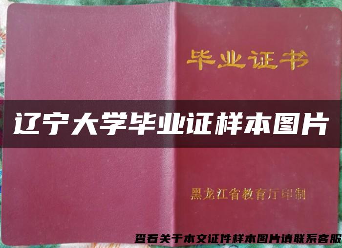 辽宁大学毕业证样本图片