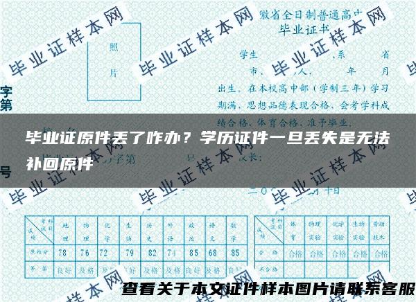 毕业证原件丢了咋办？学历证件一旦丢失是无法补回原件