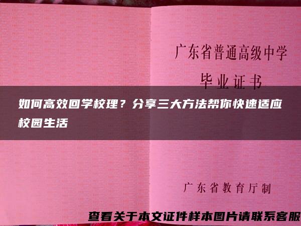 如何高效回学校理？分享三大方法帮你快速适应校园生活