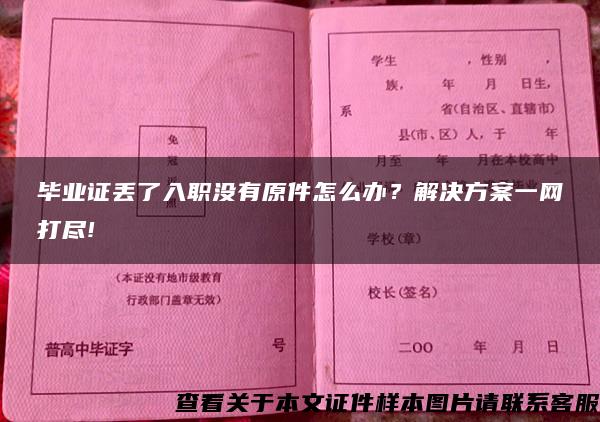 毕业证丢了入职没有原件怎么办？解决方案一网打尽!