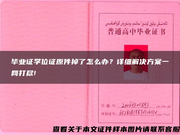 毕业证学位证原件掉了怎么办？详细解决方案一网打尽!