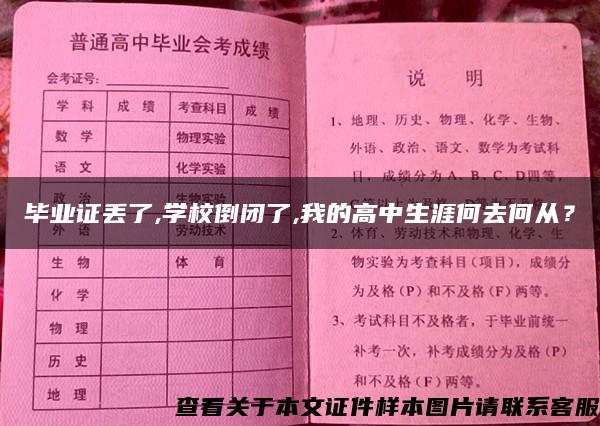 毕业证丢了,学校倒闭了,我的高中生涯何去何从？