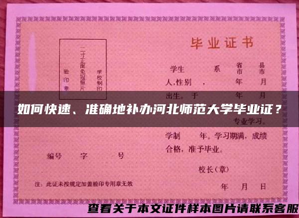 如何快速、准确地补办河北师范大学毕业证？