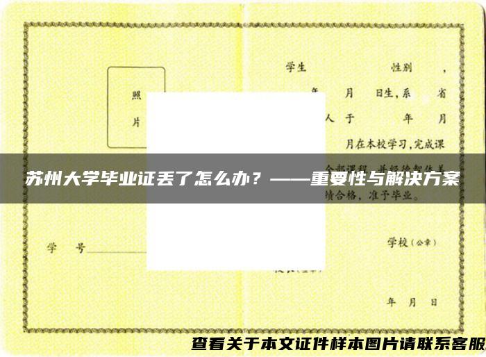 苏州大学毕业证丢了怎么办？——重要性与解决方案