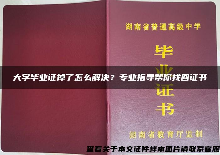 大学毕业证掉了怎么解决？专业指导帮你找回证书