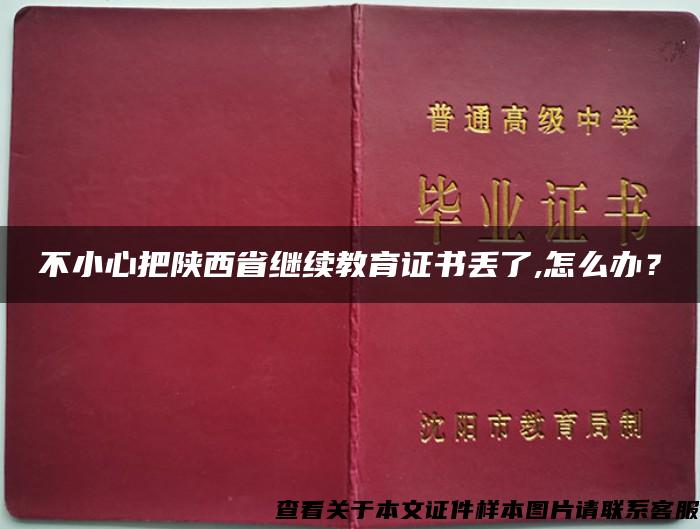 不小心把陕西省继续教育证书丢了,怎么办？