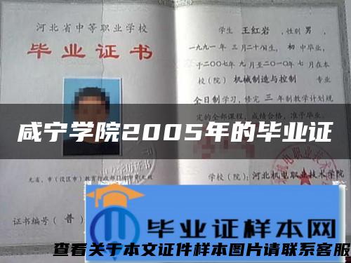 咸宁学院2005年的毕业证