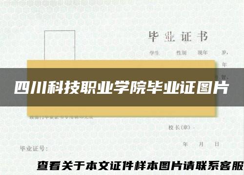 四川科技职业学院毕业证图片