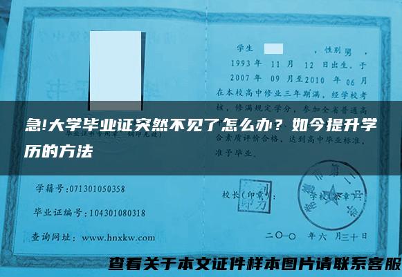 急!大学毕业证突然不见了怎么办？如今提升学历的方法