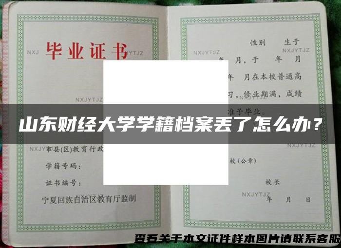 山东财经大学学籍档案丢了怎么办？