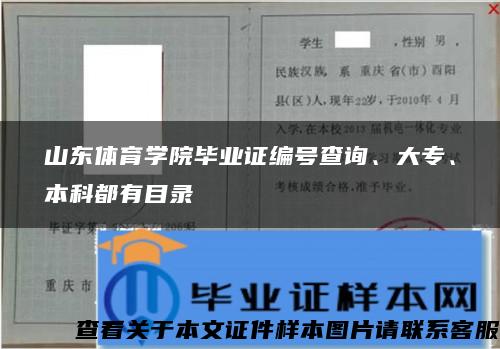 山东体育学院毕业证编号查询、大专、本科都有目录