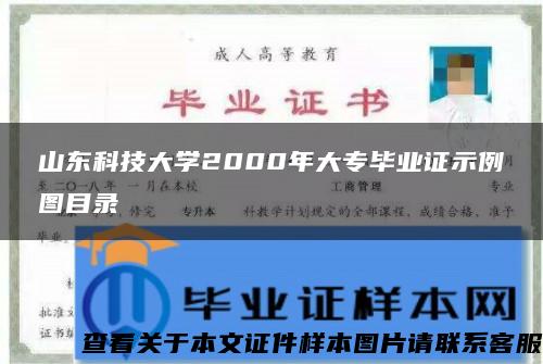 山东科技大学2000年大专毕业证示例图目录