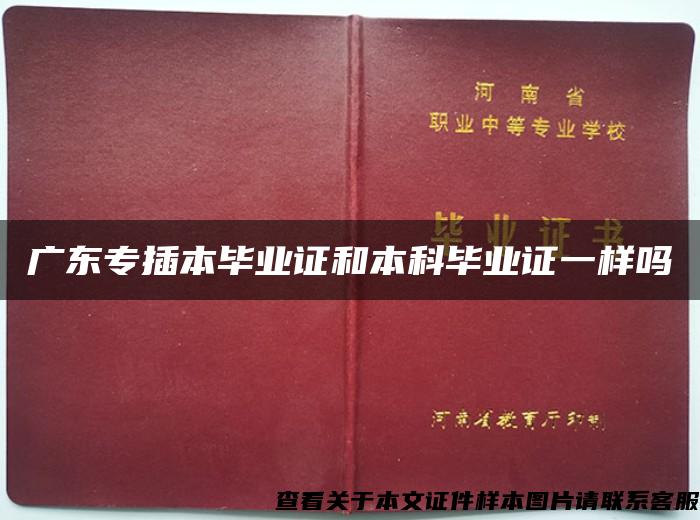 广东专插本毕业证和本科毕业证一样吗