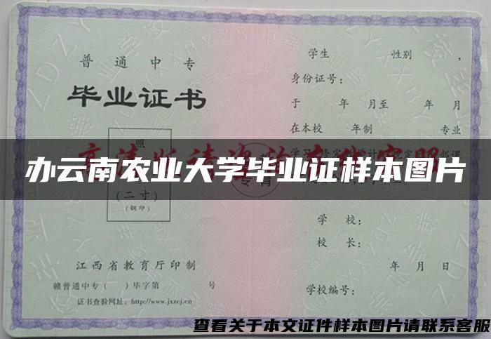 办云南农业大学毕业证样本图片